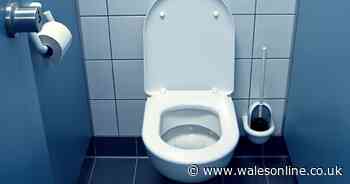 Virology expert answers questions on using public loos during pandemic