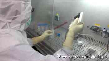 Coronavirus, appello ai giovani dall'Ausl di Modena: “Serve prudenza”. VIDEO - modenaindiretta.it