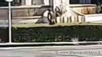 Immigrato nudo in pieno giorno a Modena si fa il bagno nella fontana dei Graziosi: la rivolta dei cittadini - Liberoquotidiano.it