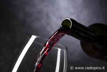 A Modena torna la Lambruscolonga - Radio Pico