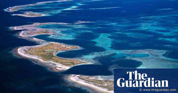 Marine food webs could be radically altered by heating of oceans, scientists warn