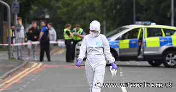 Everything we know about the armed incident in Penarth so far