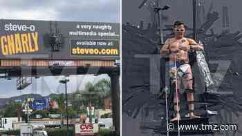 Steve-O Duct Tapes Himself to Hollywood Billboard to Promote Project