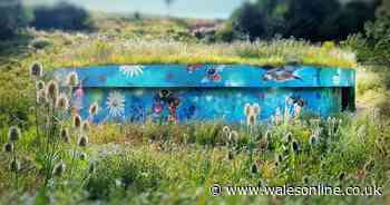 Artist speaks about nature murals appearing around Ebbw Vale
