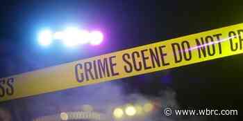 Authorities looking for suspect accused of butchering horses in Houston area - WBRC