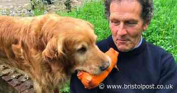 Gardeners' World's Monty Don issues warning after pet 'spears her throat'