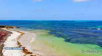Anse Grand Macabou, une plage sauvage qui donne l'impression qu'elle n'a jamais été découverte. - viàAtv