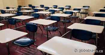 Alberta curriculum review panel lacking diversity, appropriate voices: critics