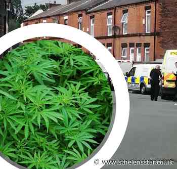 Police find cannabis farm on Seddon Street, Windlehurst - St Helens Star