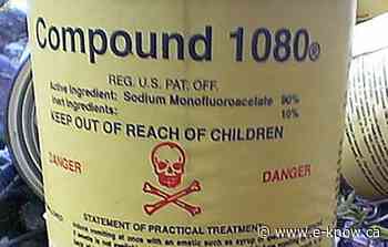 Compound identified as poison harming dogs | Cranbrook, East Kootenay, Kimberley - E-Know.ca