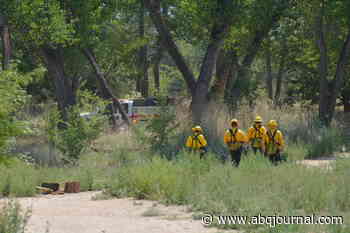 Firefighters battle bosque blaze