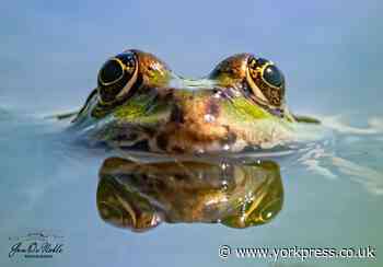 8 photos showing lockdown is over and we are out & about