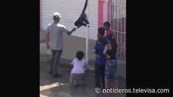 Dos monos sueltos sorprenden a habitantes de Tonala, Jalisco - Noticieros Televisa