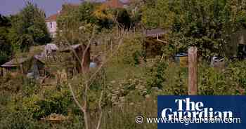 Allotment life in Bristol – in pictures