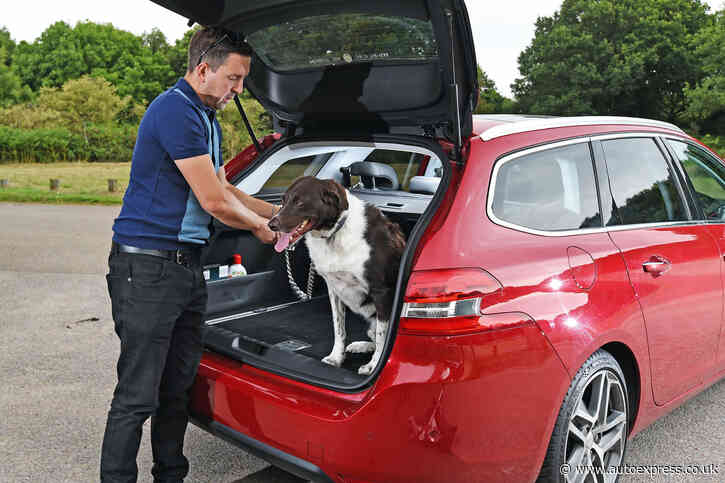 Best cars for dog owners to buy 2020