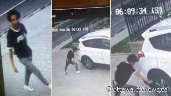 Ottawa Police investigate tire slashing incidents in Blossom Park neighbourhood - CTV News Ottawa