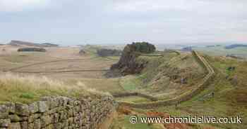 Tourism spike in Northumberland could cause 'small increase' in Covid-19 cases