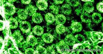 Dreadful COVID ordeal is a potent reminder to stay vigilant