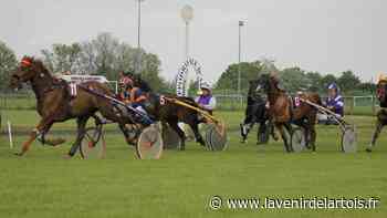 Arras : ce qu'il faut savoir des courses hippiques du 15 août - L'Avenir de l'Artois