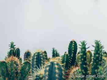 CactusPete hackers go on European rampage with Bisonal backdoor upgrade