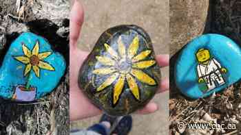 Sask. community rocking through pandemic with colourful game