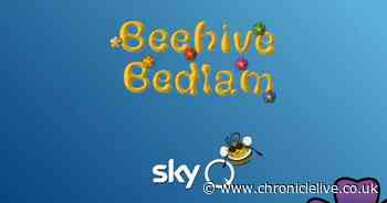 Sky confirms its popular game Beehive Bedlam is back