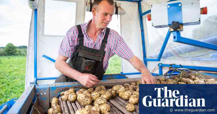 UK potato farmers fear another washout for this year's crop