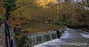 Bomb squad descended on Bristol park and taped off area