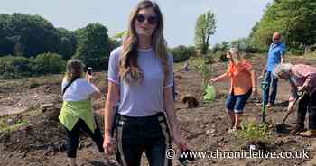 Residents plant trees in defiance after Seaham beauty spot 'ruined'