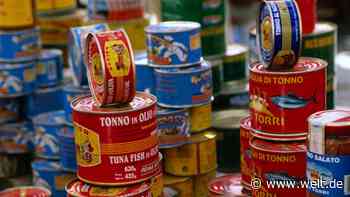 Beim Dosen-Thunfisch achten die Deutschen kaum auf Umweltsiegel