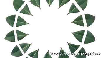 Big Data in Unternehmen: Welche Mitarbeiter im Team sein sollten