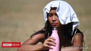 What Europe's cities are doing to handle heatwaves