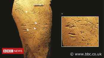 Europe's earliest bone tools found in Britain