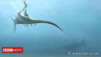 New dinosaur related to T. rex discovered on Isle of Wight