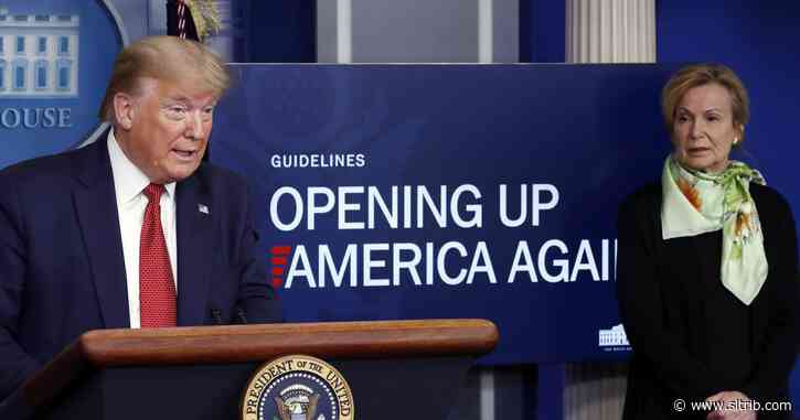 Bob Rees and Clifton Jolley: Trump sometimes stumbles on the truth