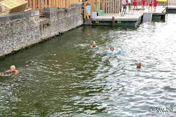 Zwemmen in Coupure tijdelijk verboden wegens blauwalgen