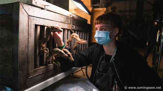 Universal Releases New Jurassic World: Dominion Pics As Production Resumes