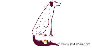 Plucky Characters? Ugh. Make Mine Prickly and Difficult.