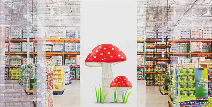 Julia Wachtel on Pandemic Screen Culture