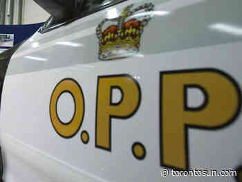Toronto woman killed in crash near Owen Sound - Toronto Sun