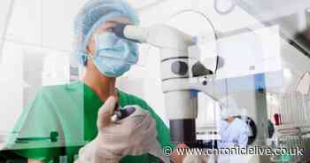 Second man dies of bubonic plague in New Mexico