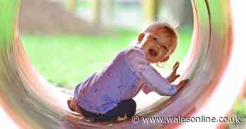 Another nine play areas in Cardiff re-open to children