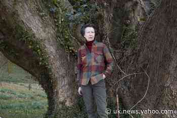 The Princess Royal at home: Anne pictured at Gatcombe Park to mark 70th birthday