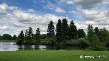 Blue-green algae bloom warning issued for Hawrelak Park lake