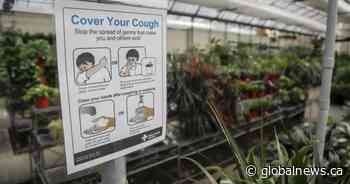 Alberta reports another death linked to COVID-19 along with 84 new cases Friday