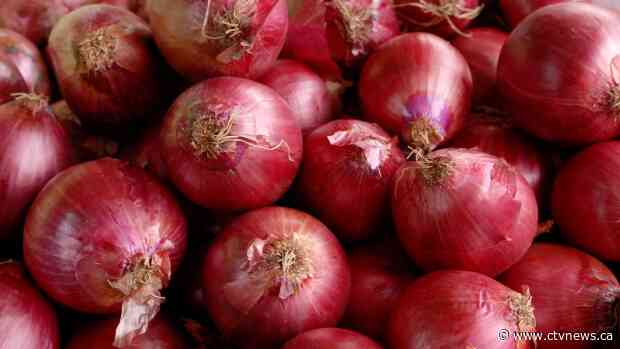 339 cases now linked to U.S.-grown onion Salmonella outbreak