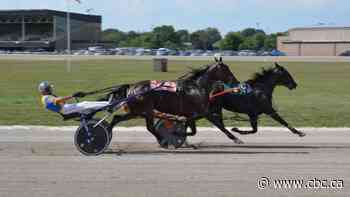 Nearly 50 horses in isolation as serious and contagious disease strikes Ontario raceway