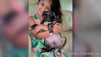 Six-year-old Toronto girl reunited with stolen birthday present – 11-month-old puppy named King