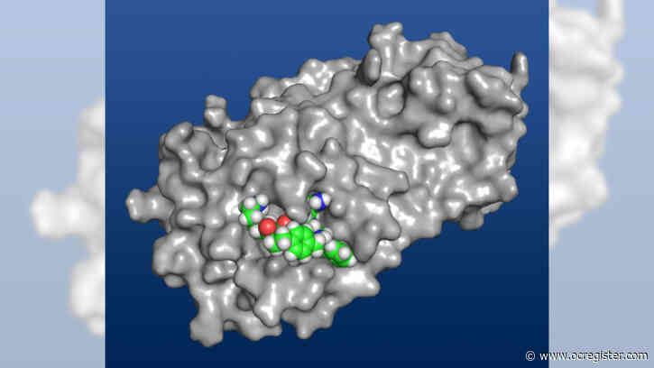 UC Irvine lab makes coronavirus-crippling molecule, a first step toward a new drug
