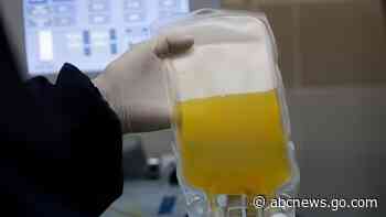 Study hints, can't prove, survivor plasma fights COVID-19